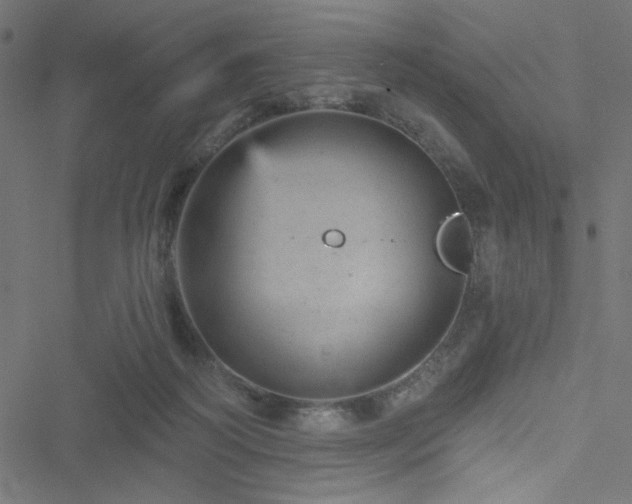 X0000051890218200506241357