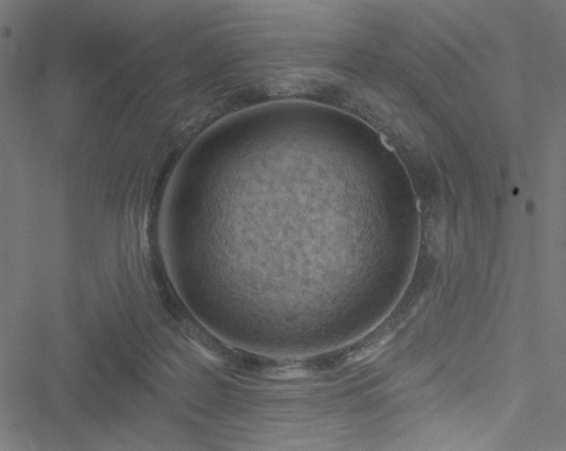 X0000051890219200506241357