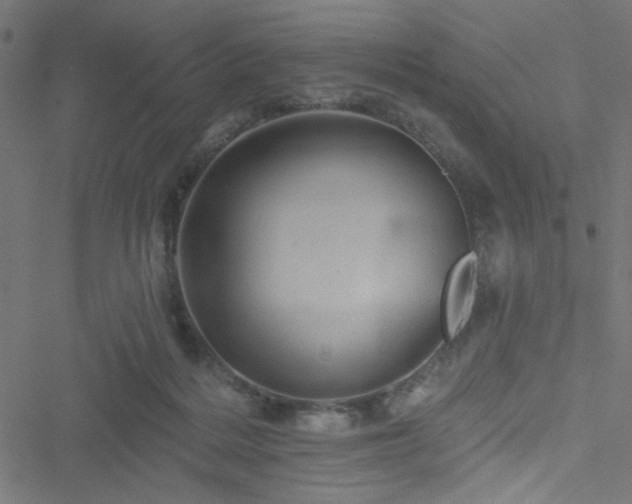 X0000051890220200506241357