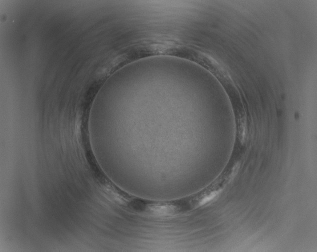 X0000051890221200506241357