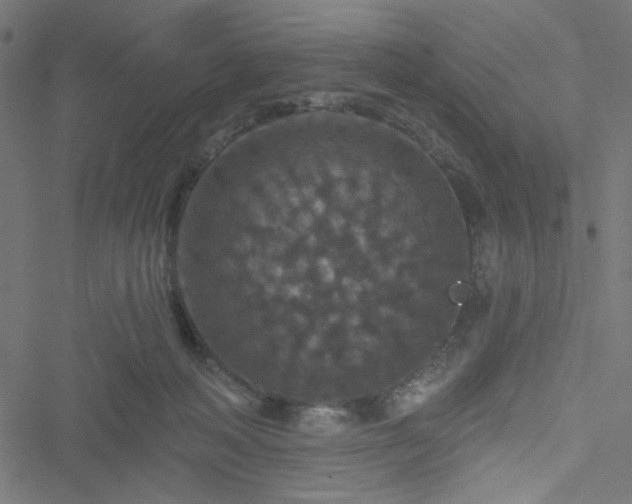 X0000051890222200506241357