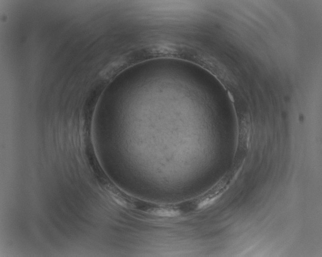 X0000051890223200506241357