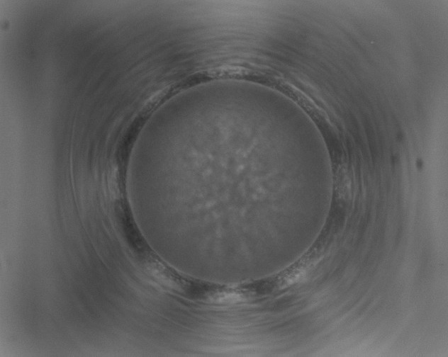 X0000051890224200506241357