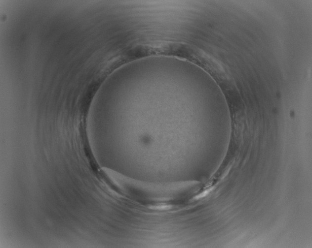 X0000051890225200506241357