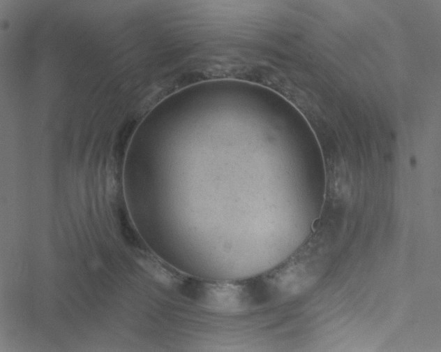 X0000051890226200506241357