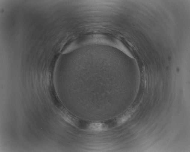 X0000051890227200506241357