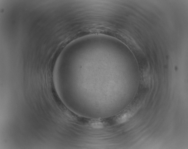 X0000051890228200506241357