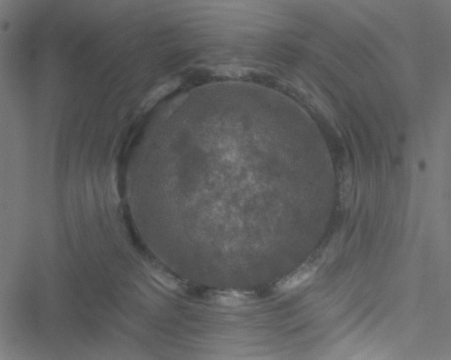 X0000051890229200506241357