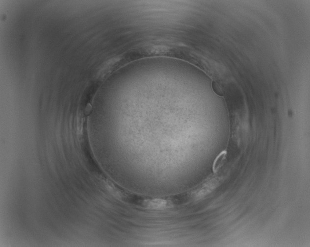 X0000051890230200506241357