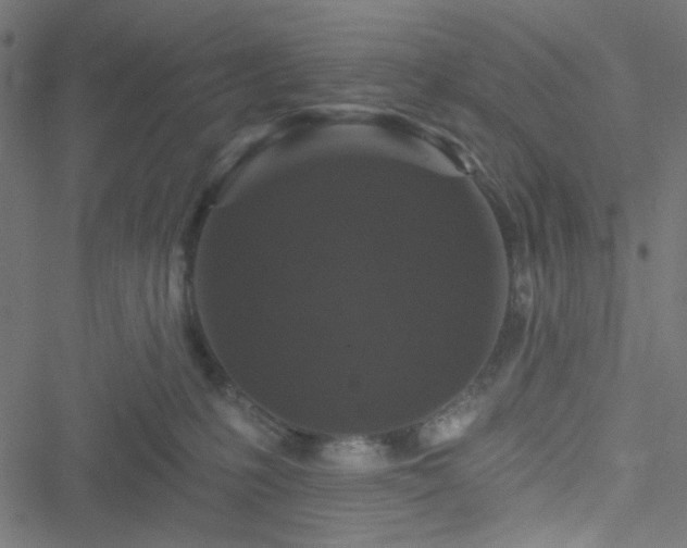 X0000051890231200506241357