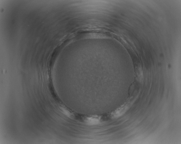 X0000051890232200506241357