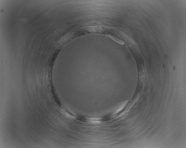 X0000051890233200506241357