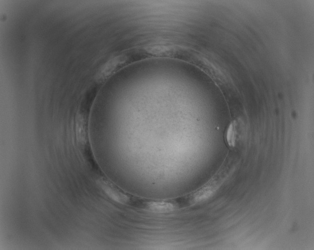 X0000051890234200506241357