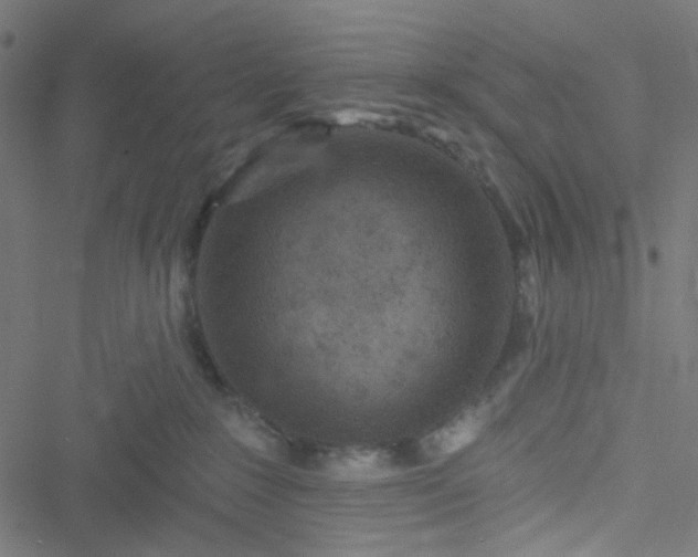 X0000051890235200506241357