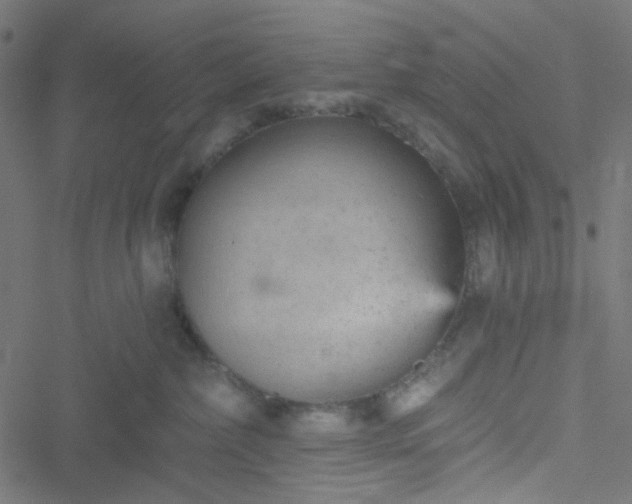 X0000051890236200506241357