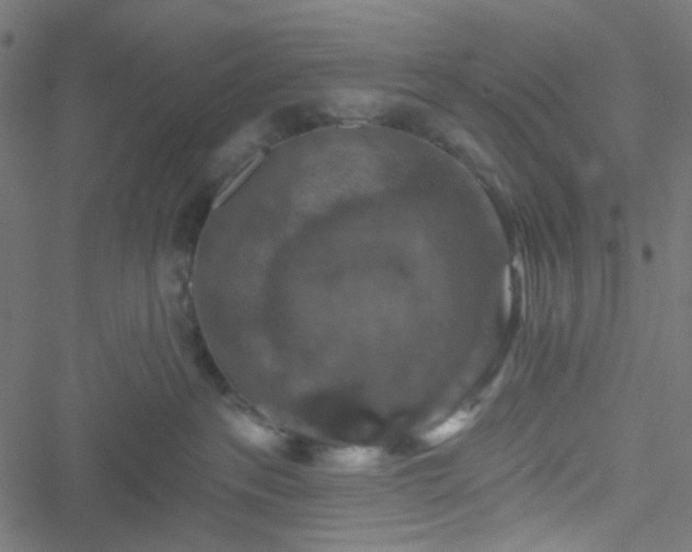 X0000051890237200506241357