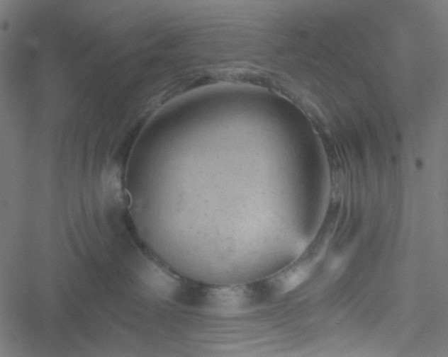 X0000051890238200506241357