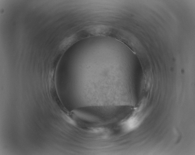 X0000051890239200506241357