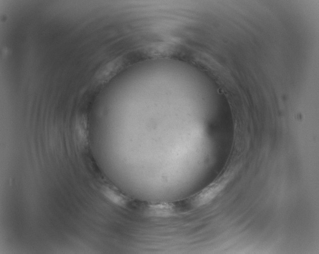 X0000051890240200506241357