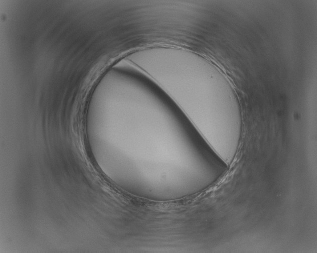 X0000051890241200506241356