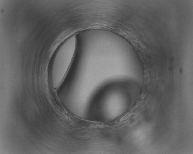 X0000051890242200506241356