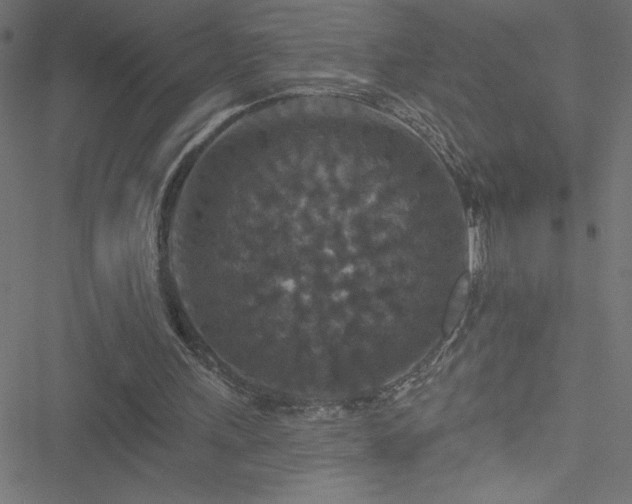 X0000051890243200506241356