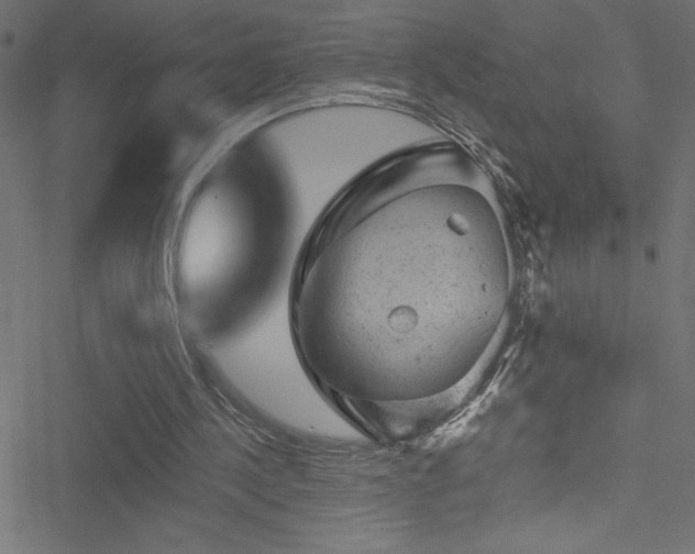 X0000051890244200506241356