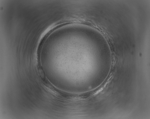 X0000051890246200506241356