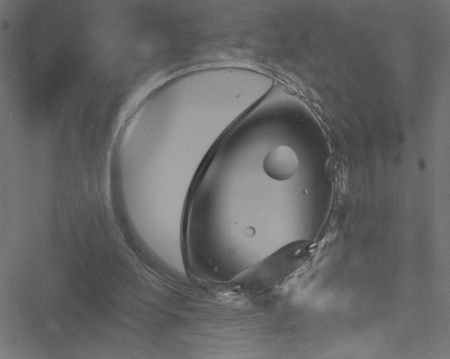 X0000051890248200506241356