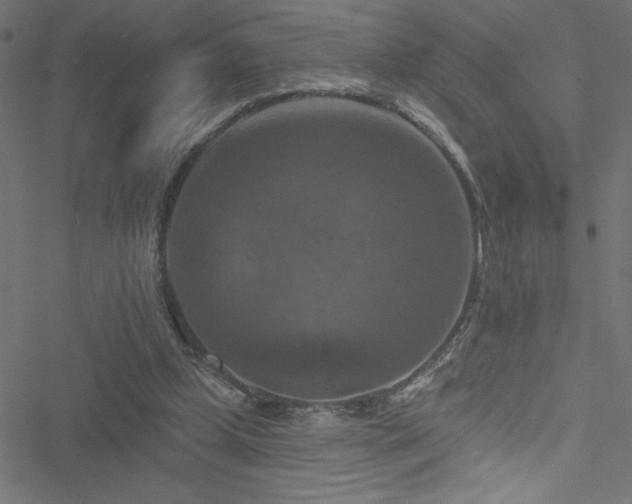 X0000051890249200506241356