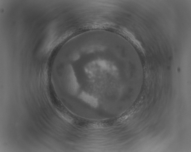 X0000051890250200506241356