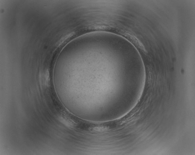 X0000051890251200506241356