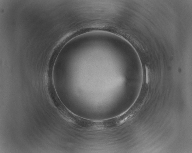 X0000051890252200506241356