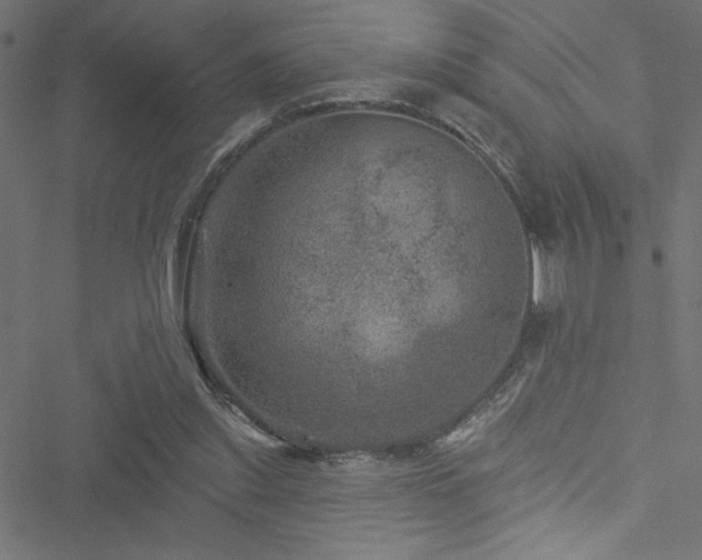 X0000051890253200506241356