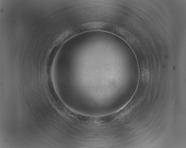 X0000051890254200506241356