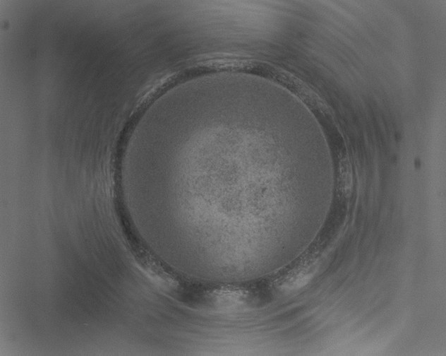 X0000051890255200506241356