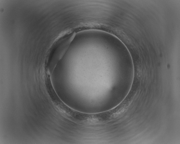 X0000051890256200506241356