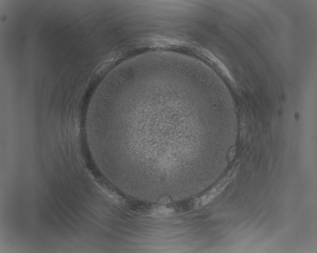 X0000051890257200506241356