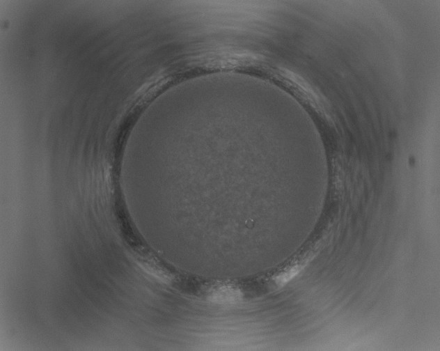 X0000051890258200506241356