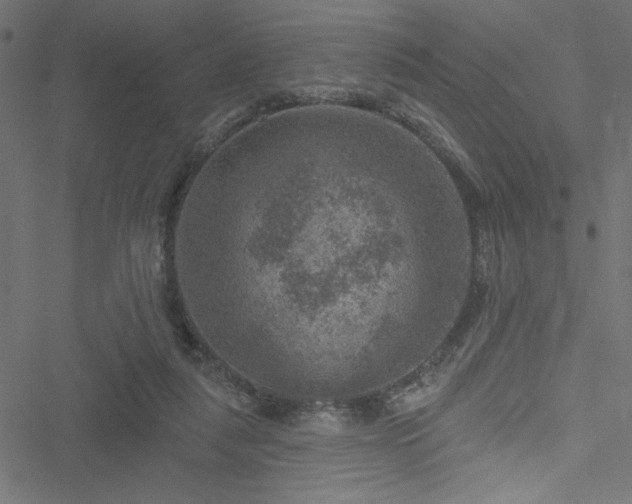 X0000051890259200506241356