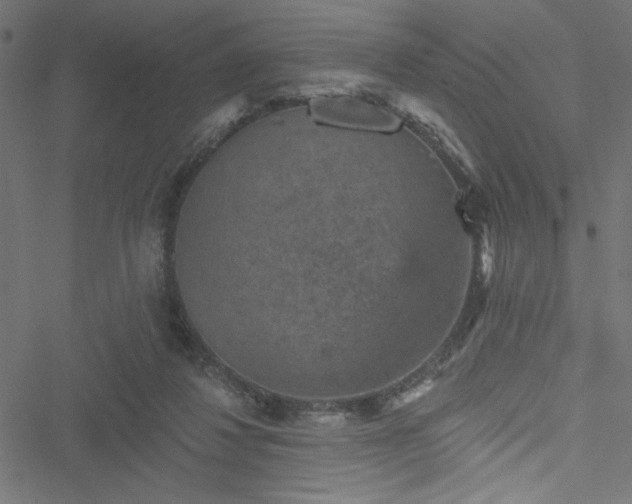 X0000051890260200506241356