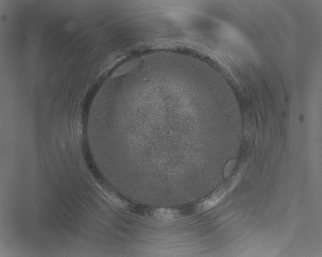 X0000051890261200506241356