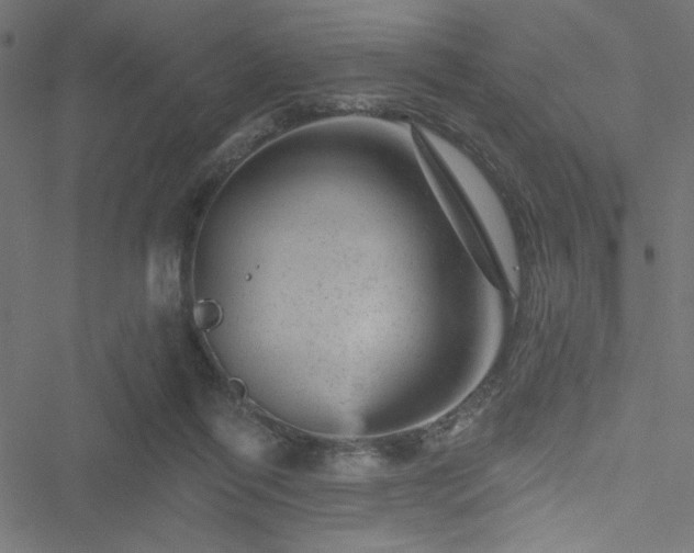 X0000051890262200506241356