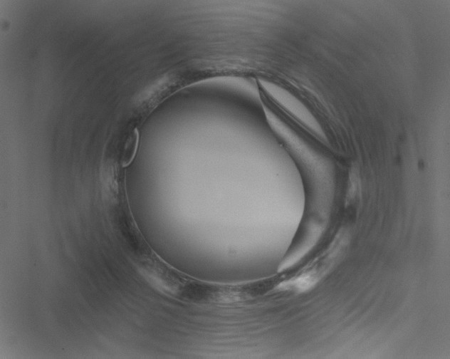 X0000051890264200506241356