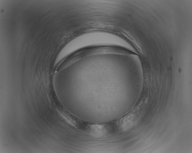 X0000051890265200506241356