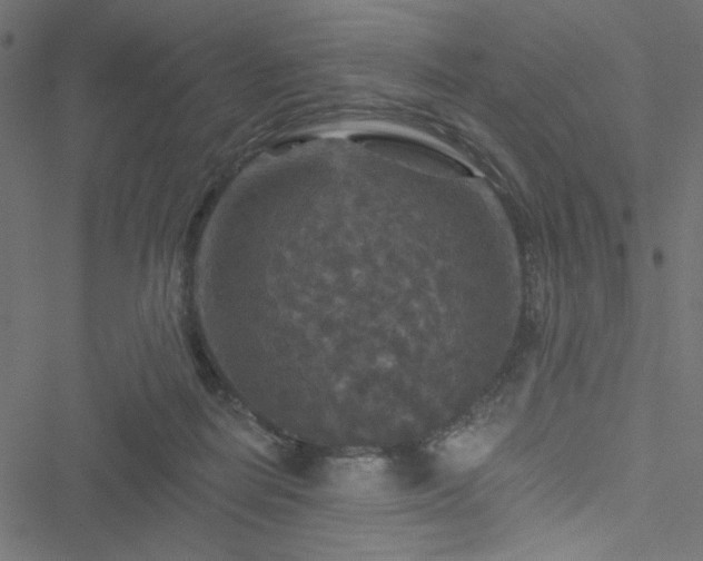 X0000051890266200506241356