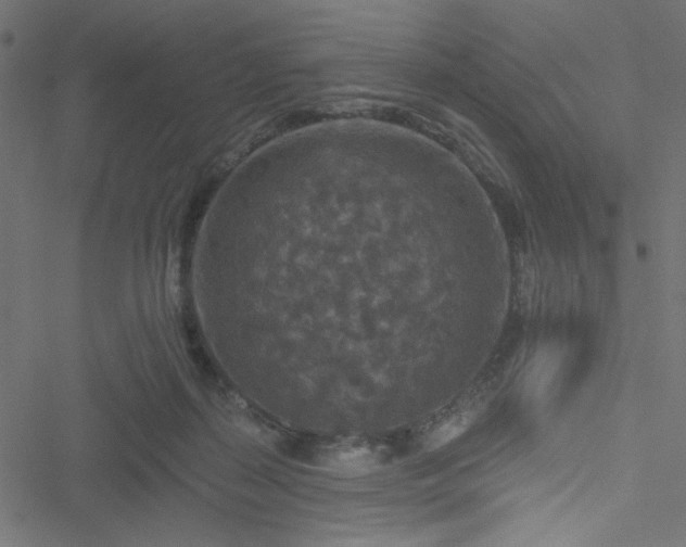 X0000051890267200506241356