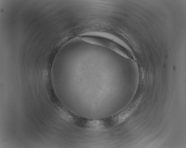 X0000051890269200506241356