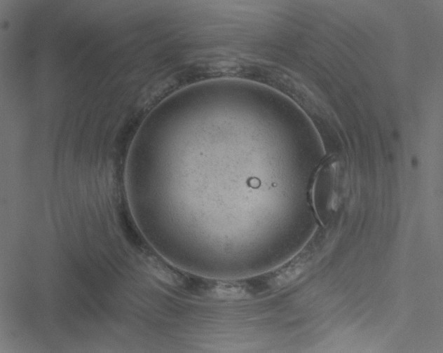 X0000051890270200506241356