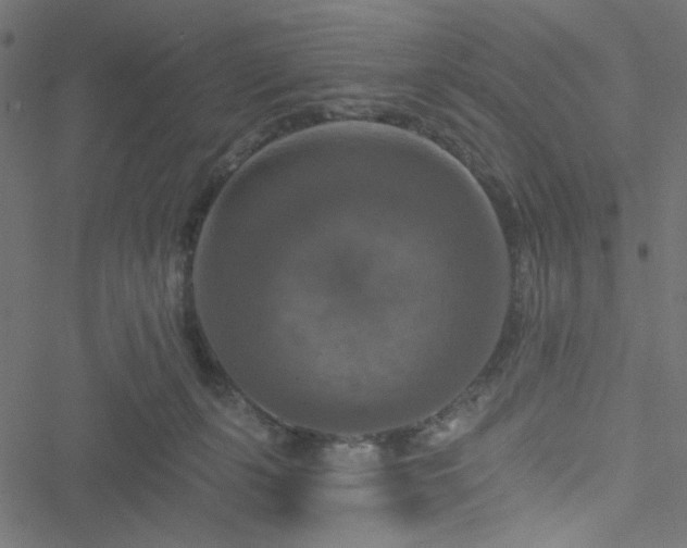 X0000051890271200506241356